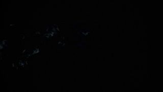 Little Selena Video Sex Download Porn-9