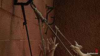 Hogtied8162 Rain-7