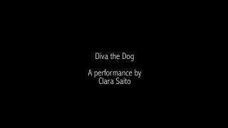 DIVA_the_Dog_-_trailer-8