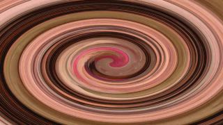 online porn clip 14  shemale porn | Tia Tizzianni – Goddess Bailey FUCKS SissySlave KYMMY – $19.99 | shemales-2