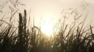 [WarAnLov.com] GIGP-66 Heroine's SAGA #4 ~Only courage can change your destiny~-019-6