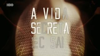 Camila dos Anjos, etc - A vida secreta dos casais s02e01 (2019) HD 1080p!!!-2