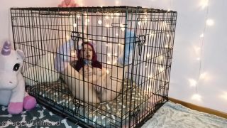 adult xxx video 43 PuppyGirlfriend – Disobedient Pup Slaps Clamps Punishment | puppy play | masturbation porn gay sissy bdsm-0