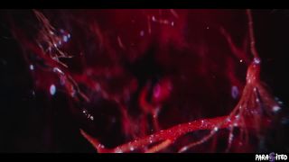 Parasited Anna Claire & Chloe Surreal: Hot Chad Alva Scene-2