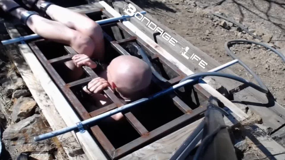 7133 Greyhound Gets The Box