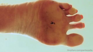 Xgiantess - Story Its your birthday and your step sis grands you one wi 1 4721 (Fetish porn)-1