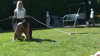 Longing &amp; Whip Lashes.-1