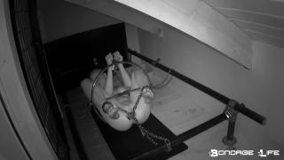 The Ring Predicament - 01.11.21 Download New Porn Video F...-1