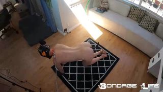 online adult clip 30 Bondage Life – Sleepy Pet Rachel Greyhound on bdsm porn chubby femdom-9