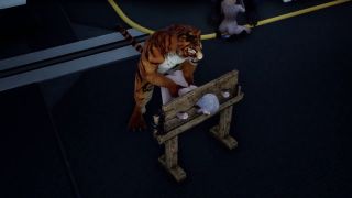 LocalCoopPMV - Wildlife Tiger blowjob and pillar sex-6