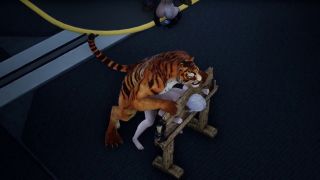 LocalCoopPMV - Wildlife Tiger blowjob and pillar sex-8