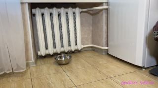 free porn video 48 Goddess Valeria – Chew Pet Food and Wash It Down With My Saliva - lesbian humiliation - femdom porn boot fetish-4