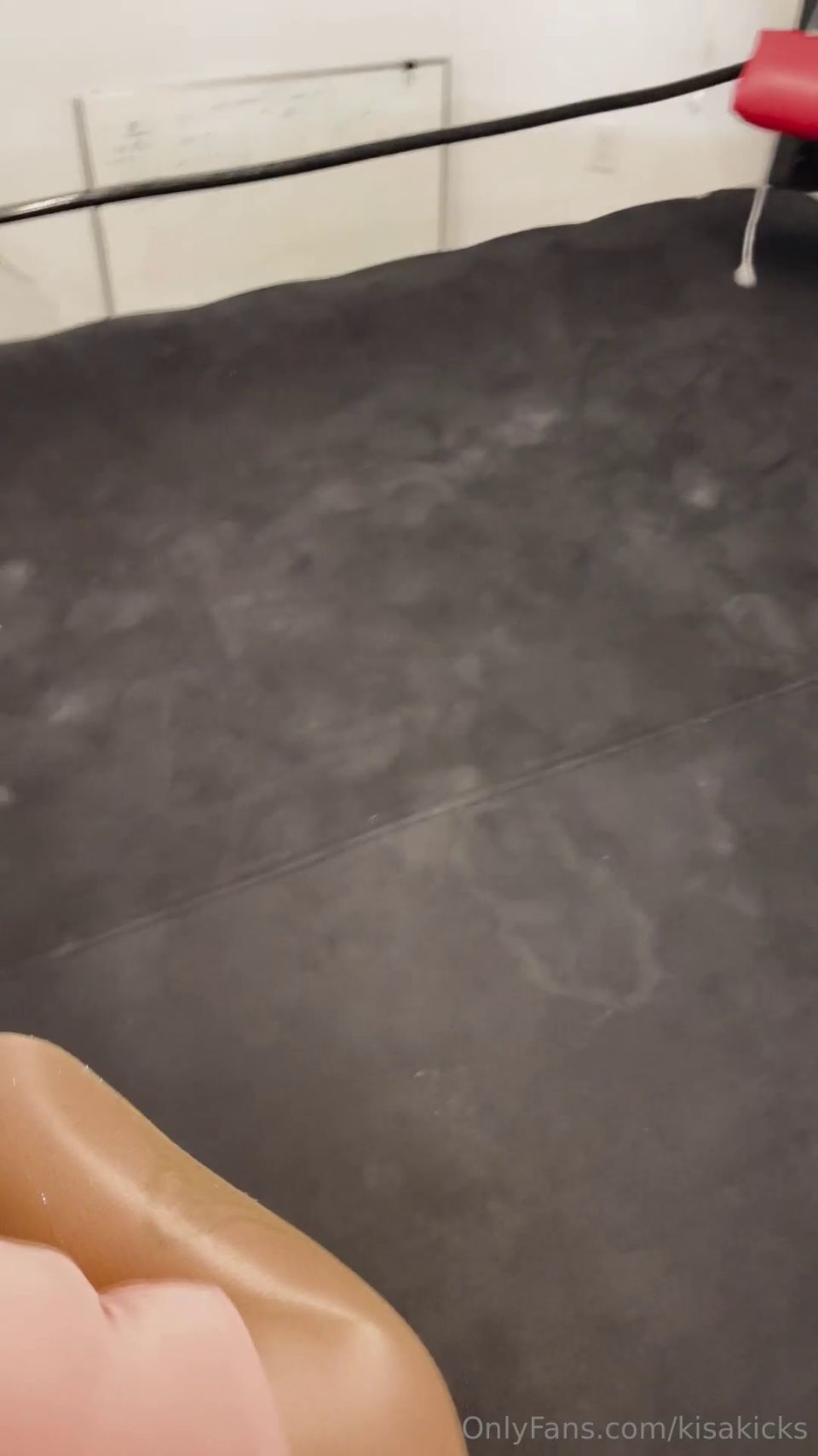 KISA KICKS AND CJ - Cj's Pov Maledom.