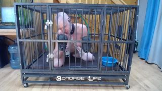xxx video clip 36 Bondage Life – Cage Time With Greyhound | bondage | bdsm porn fetish fatale-3