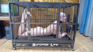 xxx video clip 36 Bondage Life – Cage Time With Greyhound | bondage | bdsm porn fetish fatale-5
