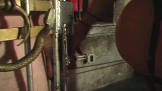 free porn clip 27 femdom squirt Submit To Mistress Delilah, bondage on femdom porn-0