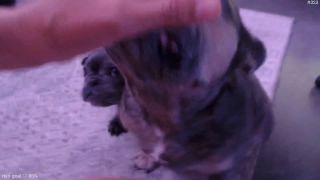 Marie_x Solo Tease 2025 FullHD Camshow Public MFC Live-9