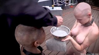 BM Cupcake SinClair - Shaved And Stapled (09.05.19.) Quic...-3