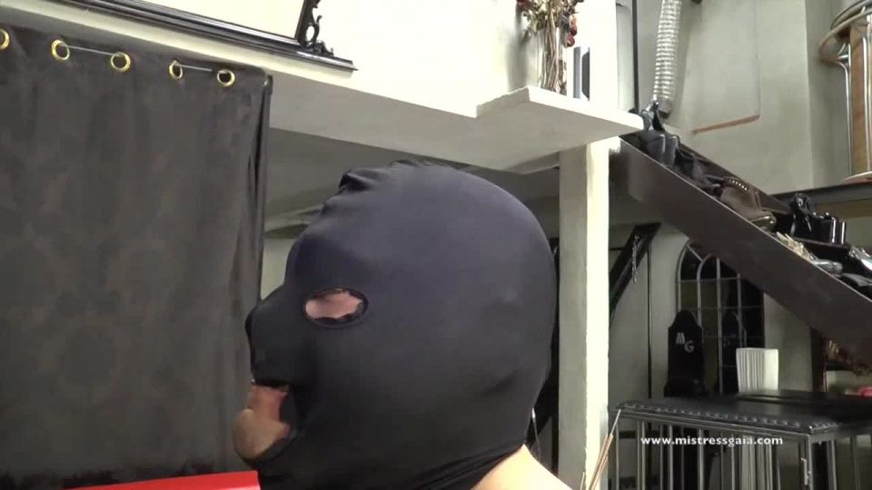 adult video clip 43 balloon fetish porn bdsm porn | [Femdom 2019] MISTRESS GAIA – EMPTY HEAD [FACE SLAPPING, HUMAN FURNITURE, HUMILIATION, CORPORAL PUNISHMENT, FEMALE DOMINATION, k2s.cc] | humiliation