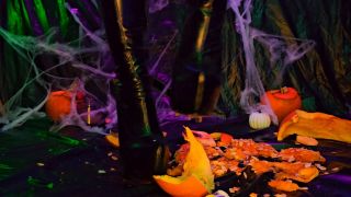 LittleMissTipToes Halloween Pumpkin Tease, Crush And Tram...-2