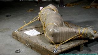 Diamondly Captured, Mummified For Shipping Download Porn ...-9