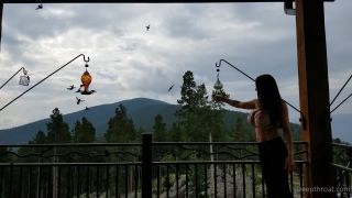 Heather Harmon Heatherharmon - this isnt the discovery channel but dang ive never seen this many hummingbirds ive be 02-08-2021-4