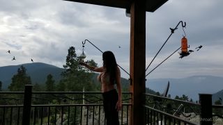 Heather Harmon Heatherharmon - this isnt the discovery channel but dang ive never seen this many hummingbirds ive be 02-08-2021-5