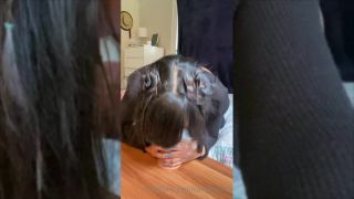 Bunny Babexx (bunny) Babexx I m Pretty Shy When It Comes To Blowjob Content (Blowjob porn)-9