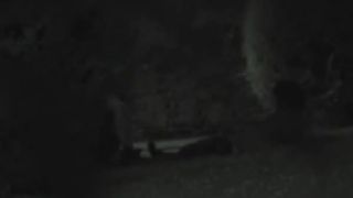 Couple fucking at night in park-3