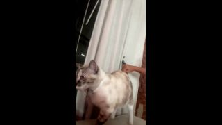 [K2S.CLUB] LaSirena69 - Live - HD 720P-9