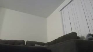 Porn online Shemale Webcams Video for September 13, 2019 – 26 (MP4, SD, 640×480) Watch Online or Download!-1