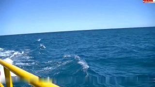 Yvette Xtreme - Versaut auf dem Touristenboot 720P - Amateur-3