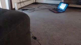 free online video 25  shemale porn | Shemale Webcams Video for March 29, 2020 – 52 | shemale and gays-7