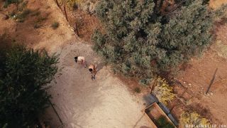 free porn clip 48 femdom for beginners BR – 0610, fetish on fetish porn-1