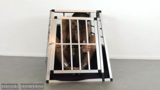 Metal Bondage 543MB277 - Good pet slave Satin Bloom-5