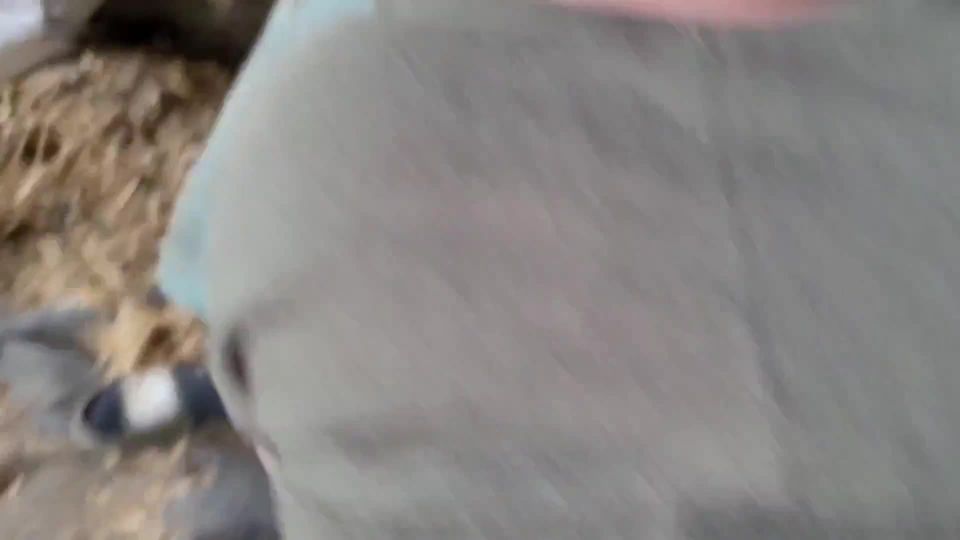 adult xxx video 19 Popp-Sylvie - 2 Jungs und ich in der schmutzigen Scheune  on amateur porn amateur does