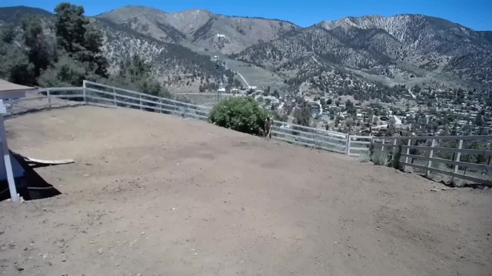 online clip 23 my fetish femdom porn | BondageLife – Yard Maintenance (Dirt Edition) – Rachel Greyhound | bondagelife