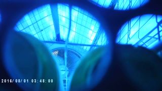 MOVI0219-1