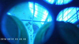 MOVI0219-4
