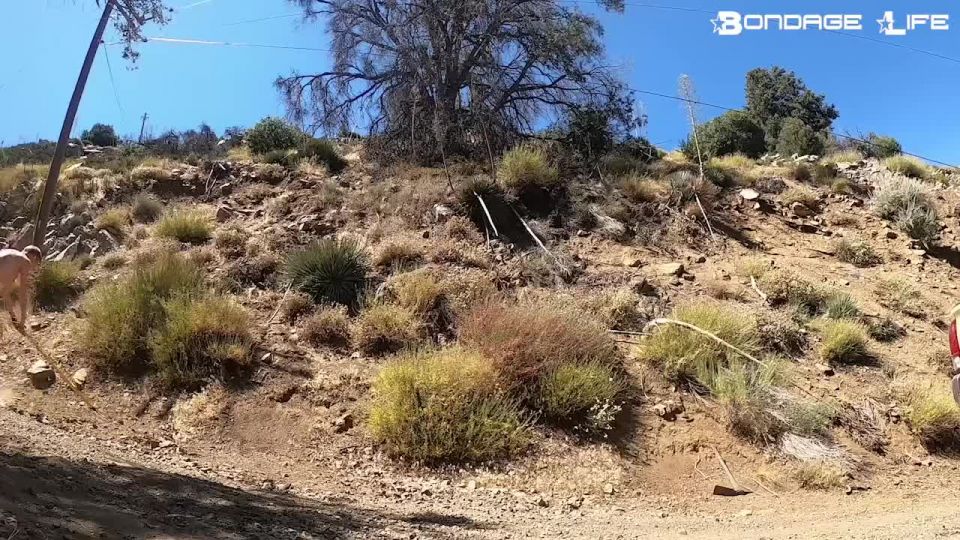 In The Yard - 07.27.20 Video Sex Download Porn