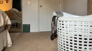 Abi Angel's Step-Mommy Desire FullHD POV Sex Fantasies-1
