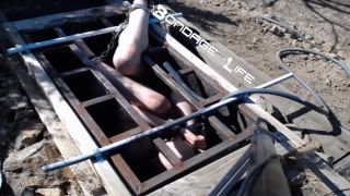 Greyhound Gets The Box - 08.26.19 Sex Clip Video Porn Dow...-8