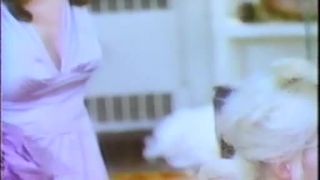 7684 Sekas Secrets-6