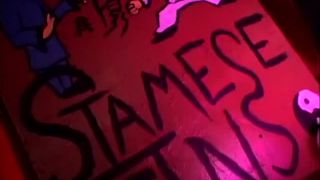video 29 Flesh Circus, upskirt fetish on fetish porn -9