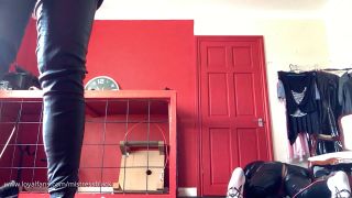 Black Mistress 69: HD Piggy Domination CBT 2025-9