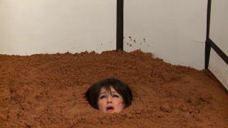 Bondagecafe H265Angela Sommers - Barbara Gordon Sinks in Quicksand-7