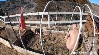 Greyhound The Gardener 03.24.21 Video Sex Download Porn-6