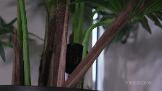 Eveline Dellai (Femdom porn)-1