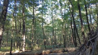 Louiselittlefrench 65080984 video 2024-09-23 20-32-3