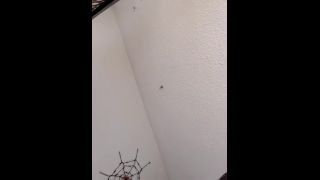 Layla Scarlett InTheCrack - E2001 Layla Scarlett Dubrovnik  Toys-6